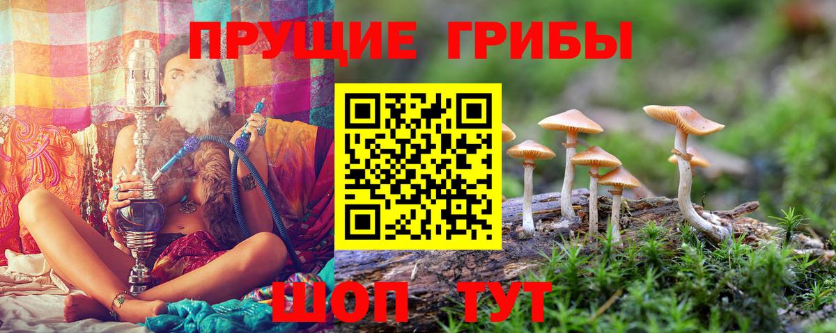 Донской  Псилоцибиновые грибы ЛСД  Псилоцибиновые грибы мицелий  Вход с VPN 