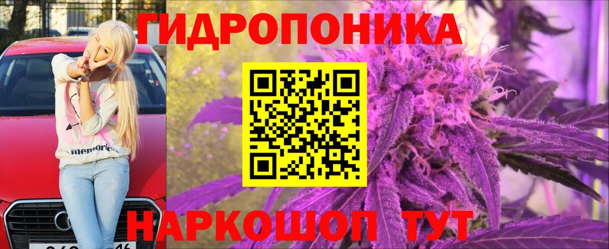 Бошки марихуана конопля Донской